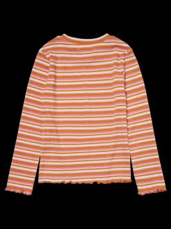 VMLU Top