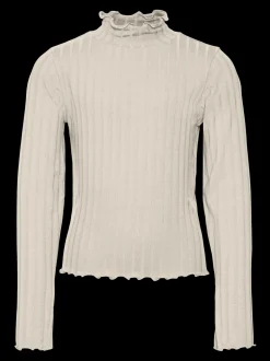 VMRIBI Top